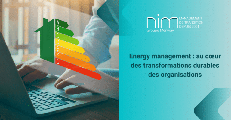manager de transition